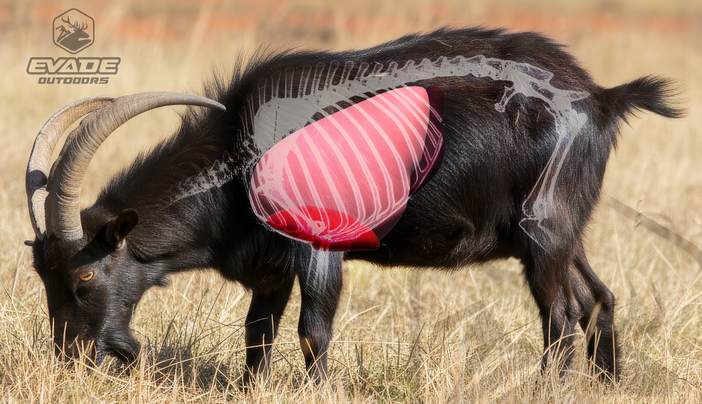 VITALS TARGET - Feral Goat