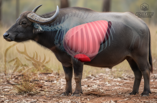VITALS TARGET - Water Buffalo