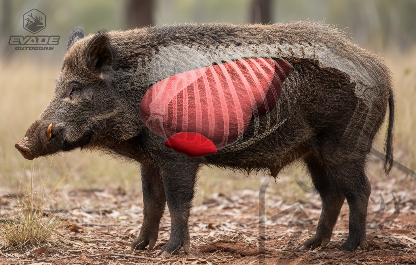 VITALS TARGET - Feral Pig