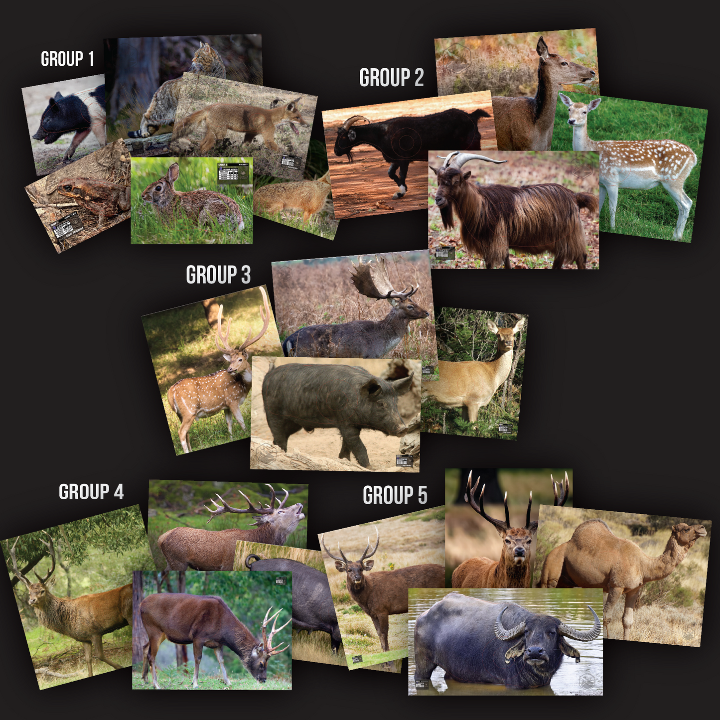 ABA FIELD ARCHERY TARGETS - OZ FERALS (SET 1) - FULL SET