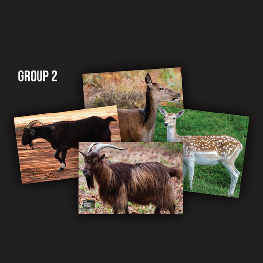ABA FIELD ARCHERY TARGETS - OZ FERALS (SET 1) - GROUP 2