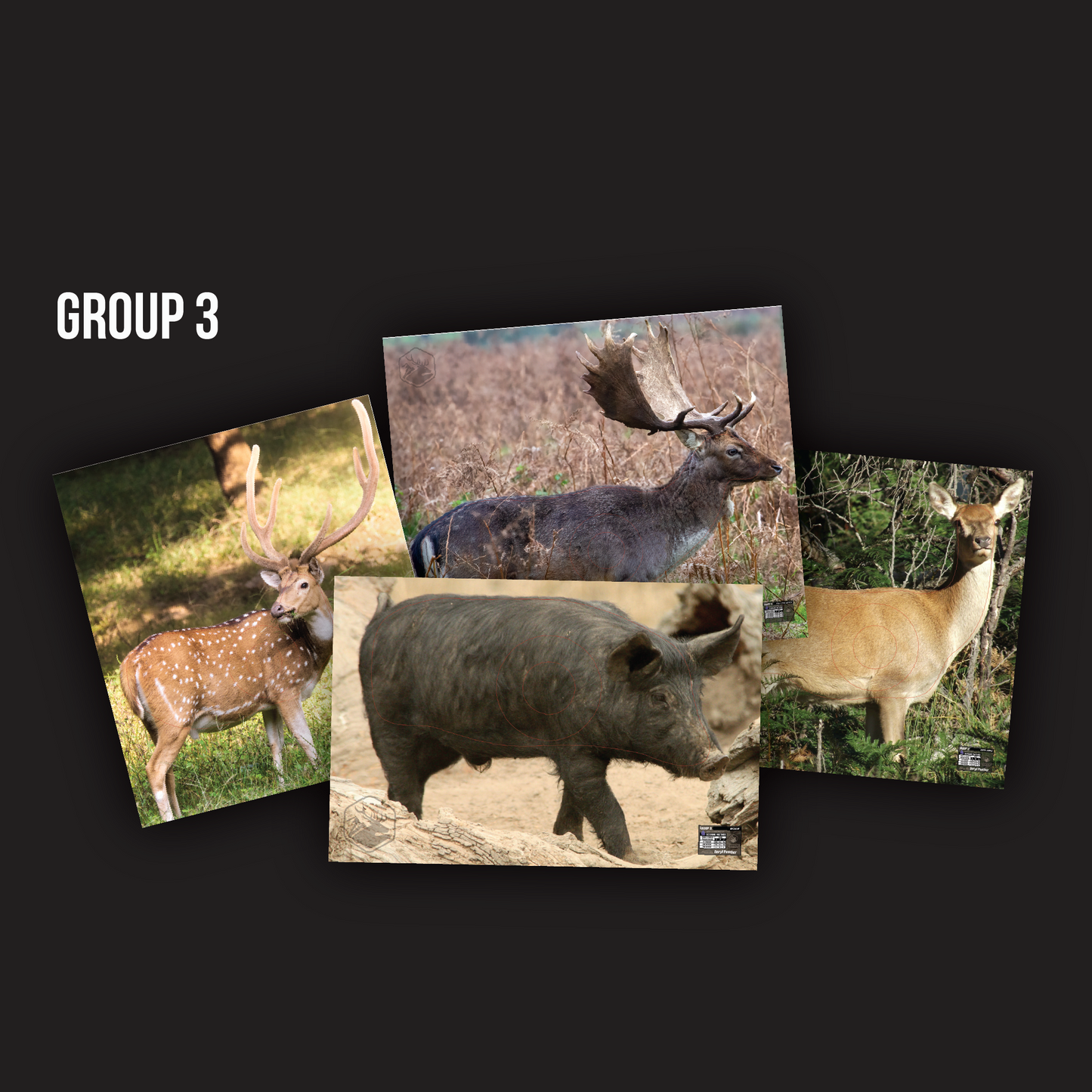 ABA FIELD ARCHERY TARGETS - OZ FERALS (SET 1) - GROUP 3