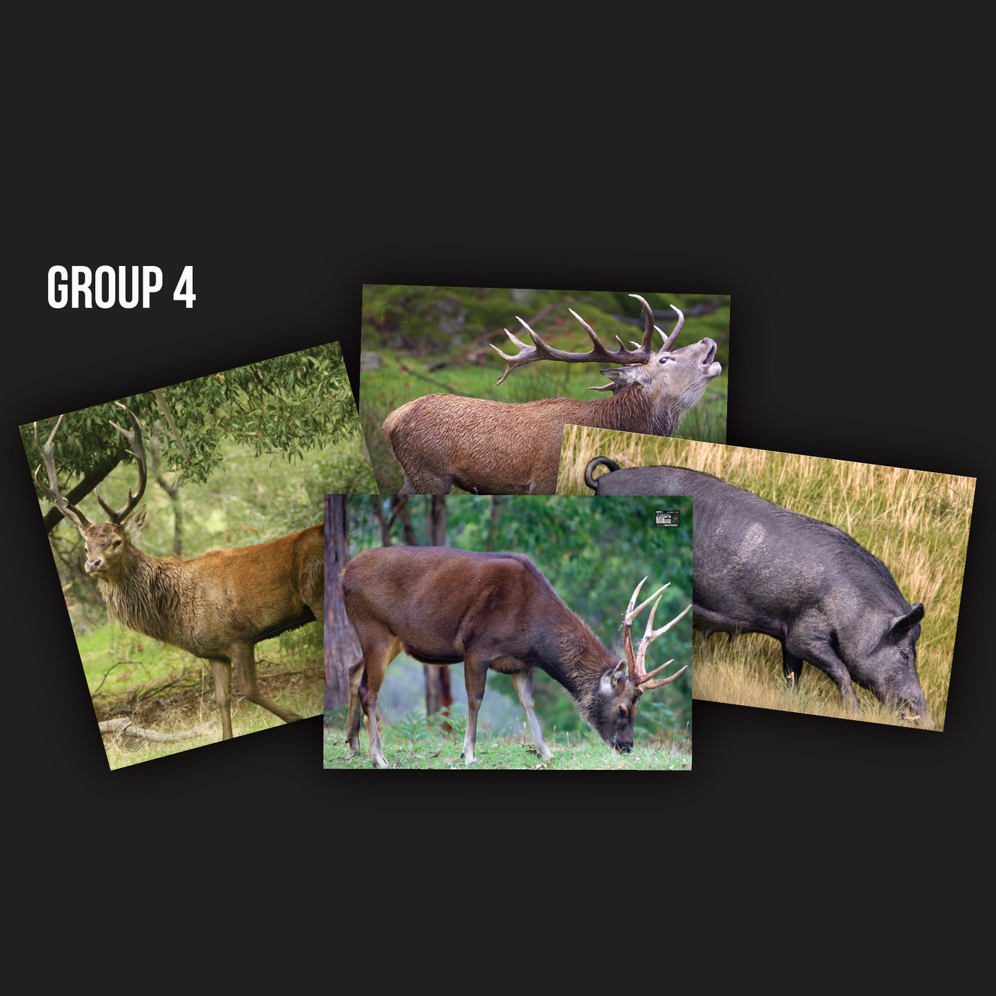 ABA FIELD ARCHERY TARGETS - OZ FERALS (SET 1)  - GROUP 4