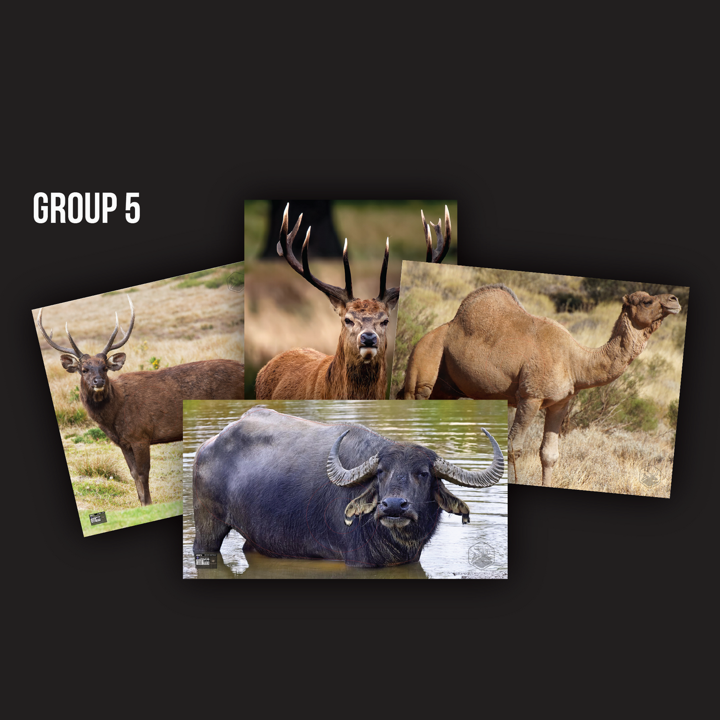 ABA FIELD ARCHERY TARGETS - OZ FERALS (SET 1) - GROUP 5