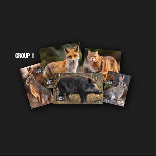 ABA FIELD ARCHERY TARGETS - OZ FERALS (SET 2) - GROUP 1
