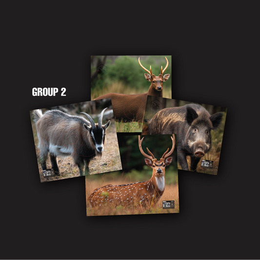 ABA FIELD ARCHERY TARGETS - OZ FERALS (SET 2) - GROUP 2