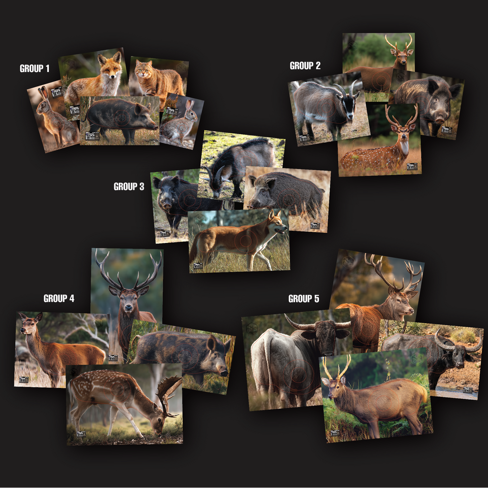 ABA FIELD ARCHERY TARGETS - OZ FERALS (SET 2) - FULL SET – Evade Outdoors