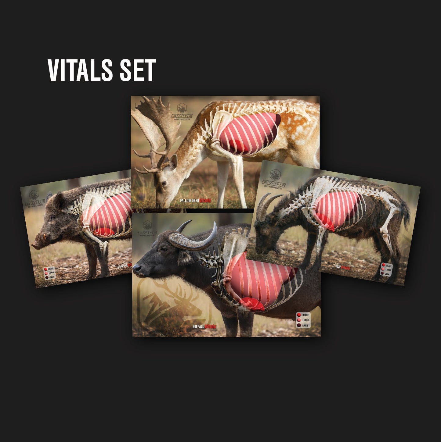 VITALS TARGET SET